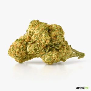 Amnesia Superior Blend 40 % 🧠